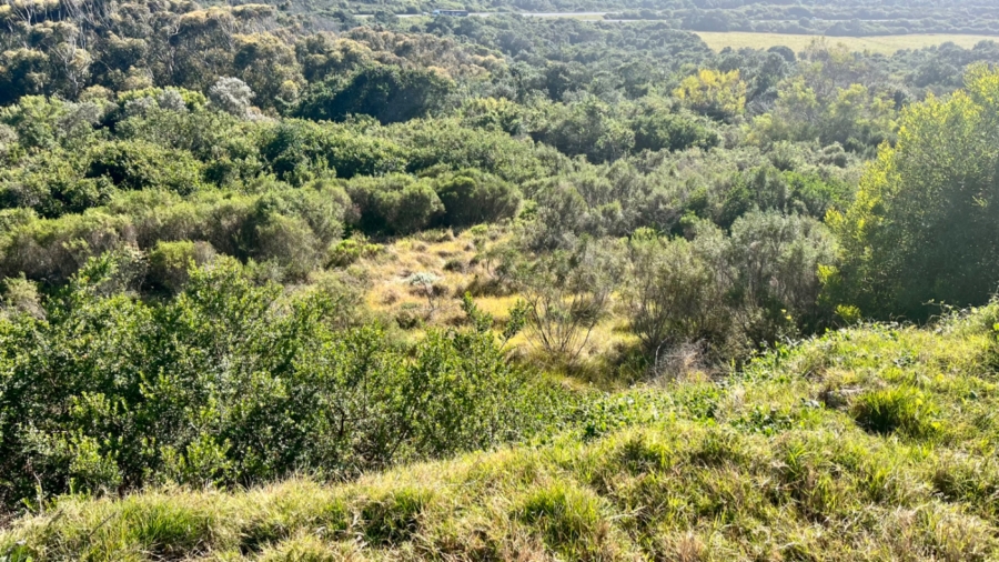 Commercial Property for Sale in Pienaarstrand Western Cape